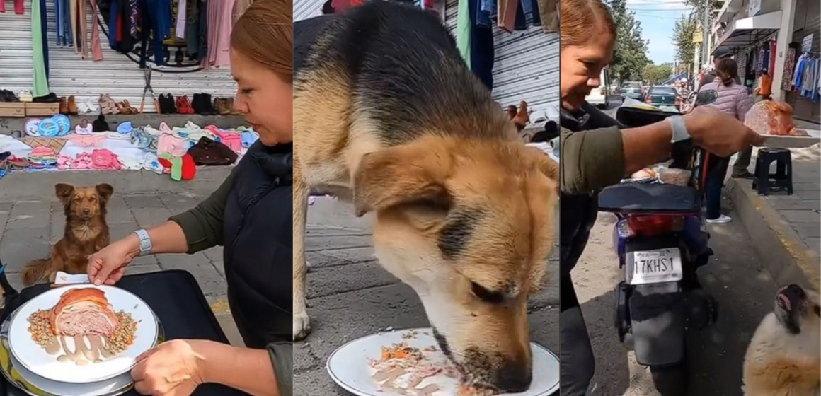 Feliz PerriNavidad: Perridog servicio de comida callejera canina