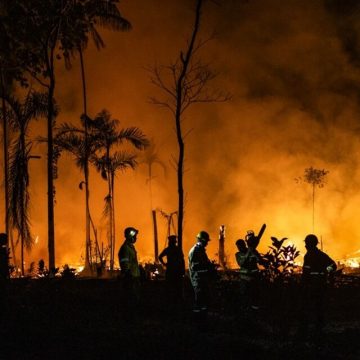 De la Amazonía al Ártico, los fuegos devoran 81 millones de hectáreas en la última década