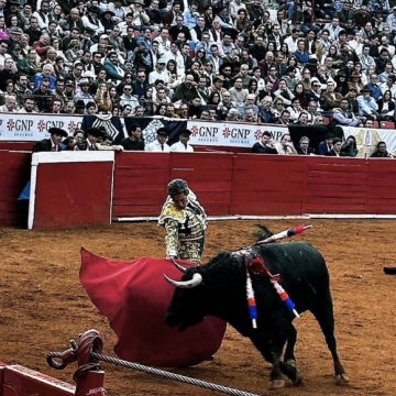 Faitelson muestra apoyo a iniciativa para prohibir las corridas de toros