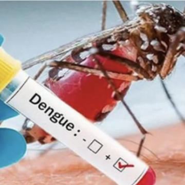 Autoridades en Tabasco en alerta por 700 casos de dengue