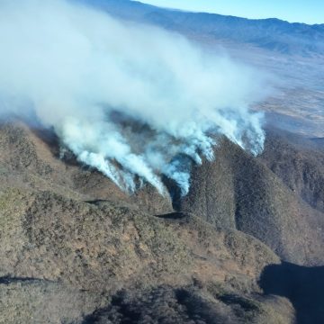 En México, se reportan 16 incendios forestales activos en 8 entidades