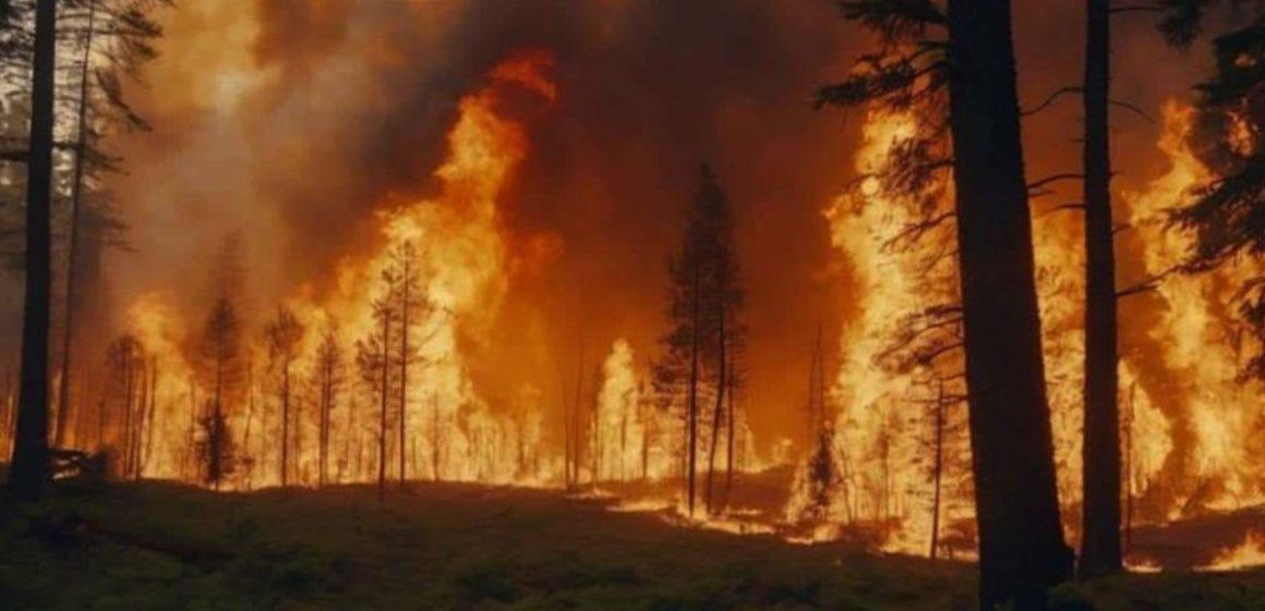 Incendios forestales acechan a Sinaloa; se han registrado 30 en 2 meses y 2 siguen activos