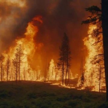 Incendios forestales acechan a Sinaloa; se han registrado 30 en 2 meses y 2 siguen activos