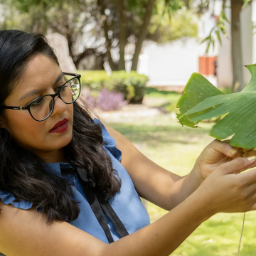Una científica de México produce música generada con sonidos de las plantas