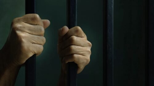 1fb36379-84bd-412d-9272-c2a6b823a5a6