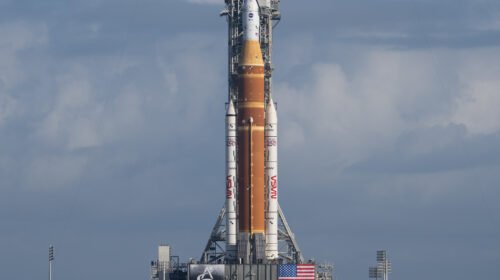 55050650260_2530fea74e_k