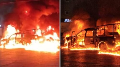 56518-584-6625-414-1