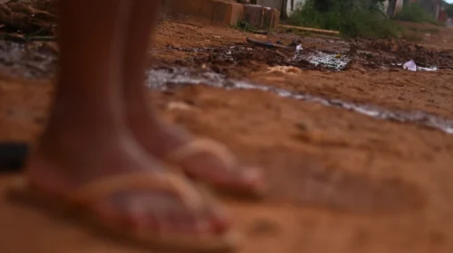 AME6225-BRASIL-DENGUE