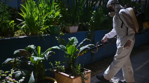 AME9984-BRASIL-DENGUE-1