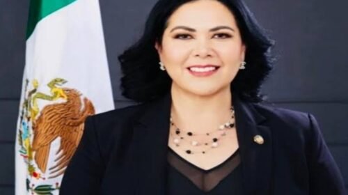 Alejandra León Gastélum frontera eu detencion visa