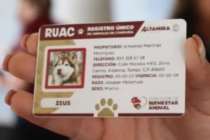 CURP PERROS MULTA TRAMITE FECHA LIMITE