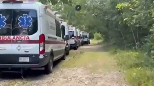 Captura de pantalla 2025-08-15 120615