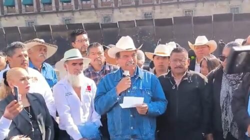 Captura de pantalla 2025-11-11 110445