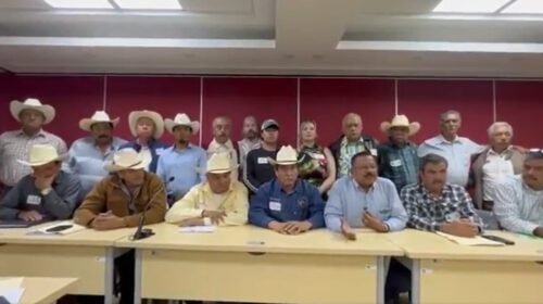 Captura de pantalla 2025-11-21 120649