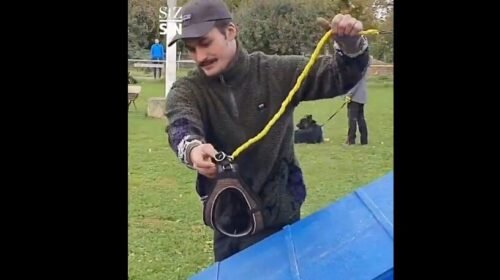 Captura de pantalla 2025-12-19 122444