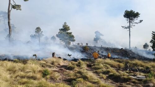 Copia-de-GH7bkpbWoAA34Oc