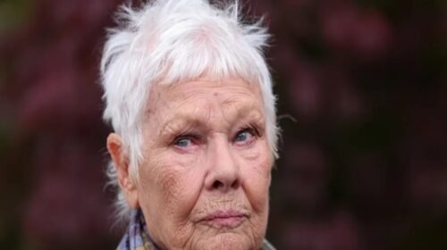 Judi Dench enfermedad actriz retiro espectaculos