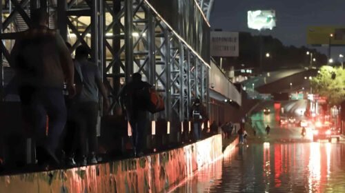 Lluvias intensas en CDMX dejan daños en árboles y vehículos
