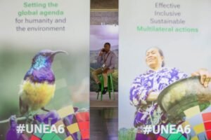 Nairobi (Kenya), 26/02/2024.- A delegate speaks on phone during the official opening of the Sixth Session of UN Environment Assembly (UNEA-6) at the United Nations Environment Programme (UNEP) headquarters in Nairobi, Kenya, 26 February 2024. UNEA as the?world's highest decision-making body on the environment, aims to help restore harmony between humanity and nature, improving the lives of the worlds most vulnerable people. UNEA-6 which will take place from 26 February to 01 March, will focus on how?multilateralism can help tackle the triple planetary crisis of climate change, nature and biodiversity loss, and pollution and waste. (Kenia) EFE/EPA/Daniel Irungu EPA-EFE/Daniel Irungu