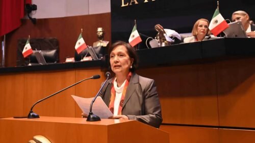 Movimiento Ciudadano busca proteger mezcales tradicionales como patrimonio biocultural