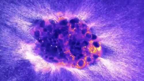 Registran por primera vez en tiempo real la implantación de un embrión humano