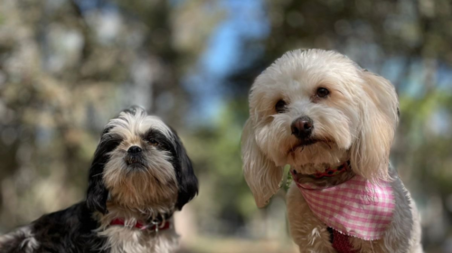 S5d4f5FGH5d55ghy5-10-6