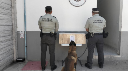 S5d4f5FGH5d55ghy5 (11)