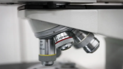 S5d4f5FGH5d55ghy5 (15)