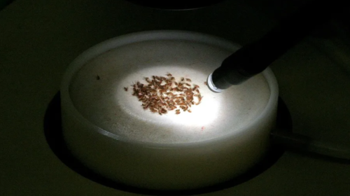 S5d4f5FGH5d55ghy5 (16)