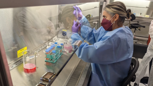 S5d4f5FGH5d55ghy5 (17)