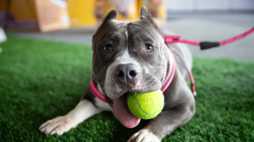 S5d4f5FGH5d55ghy5 (18)