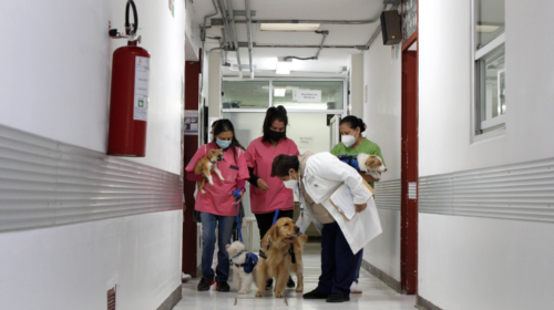 S5d4f5FGH5d55ghy5 (27)