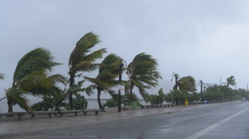 S5d4f5FGH5d55ghy5-5-14