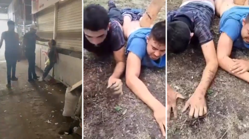 S5d4f5FGH5d55ghy5-81