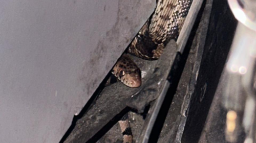 S5d4f5FGH5d55ghy5-86