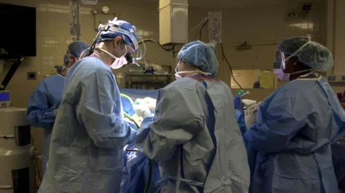 SHM29-EEUU-HISPANOS-MEDICINA-Prevision