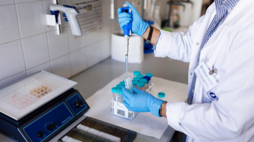 Universidad de Málaga