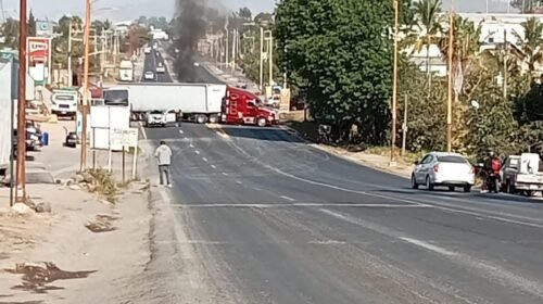 WhatsApp Image 2026-02-22 at 12.32.26