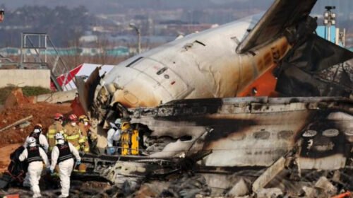 accident corea del sur avion muertos