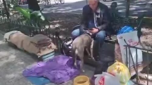 alejandro landeros actor televisa situacion de calle