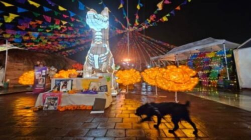 altar-del-perro-del-día-de-muertos