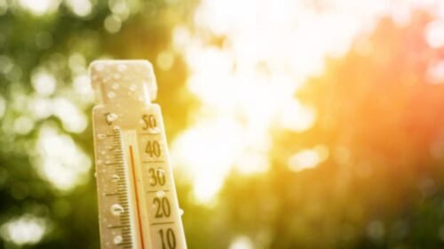 Thermometer for measuring outdoor air temperature. Tropical rain. Meteorological device for observing and measuring the weather. Weather forecast. Heavy rain in hot weather, drought in summer.