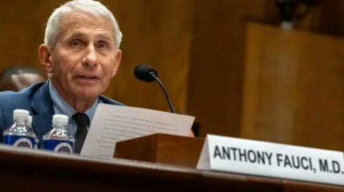 anthony fauci desacatdo senado estados unidos caso covid 19
