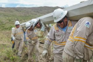 apagon masivo cfe luz electrica energia