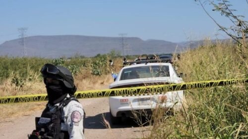 asesinato hermano markitos toys ensenada