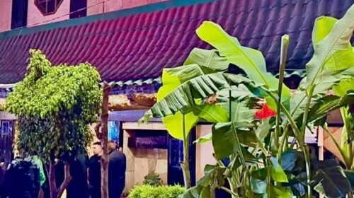 asesinato zona rosa cdmx miembro chapitos