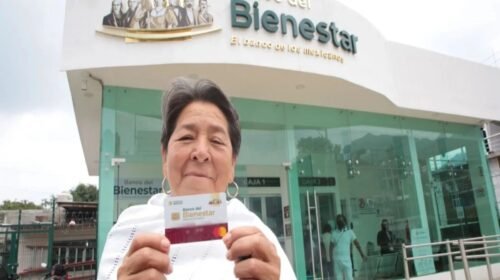 bienestar programas estafas programas sociales apoyos