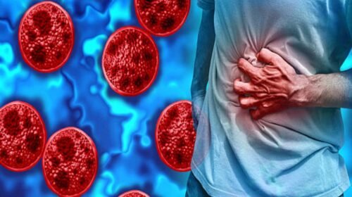 brote-de-enfermedad-por-ciclosporiasis mexico casos