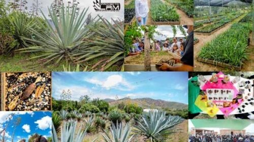 c6350f08ac0b7232df252089aa28d99d