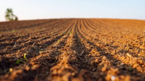 campo kentucky venta centro datos adulta mayor rechazo millonario